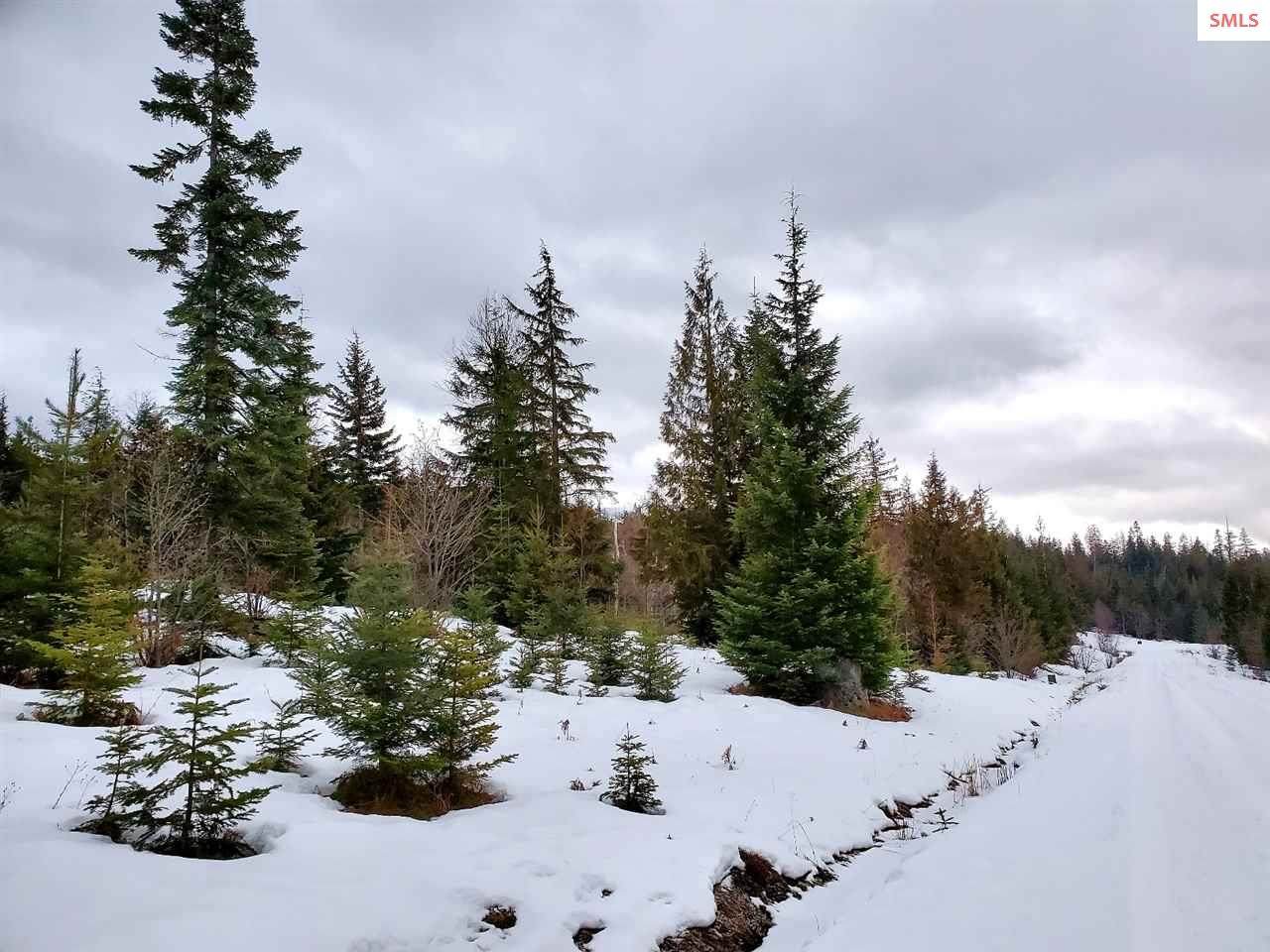 Lot 6 Rising Hawk Ridge - Photo 1