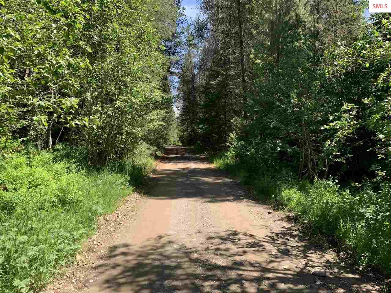 NNA Pup Paw Trail - Photo 1