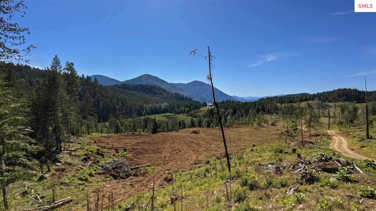 NKA Queen's Drive - Lot 3 Galt's Gulch - Photo 1