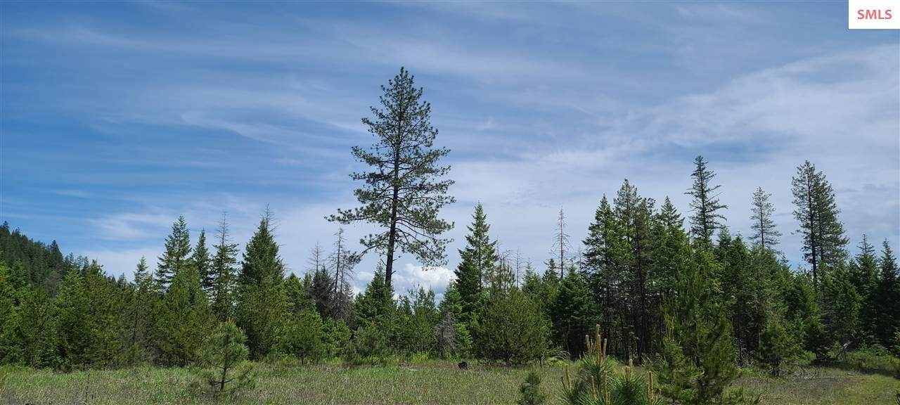 NKA Bodie Canyon Tract 3 - Photo 1
