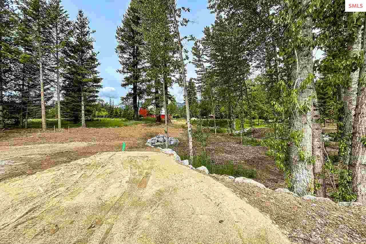 NNA Madera Drive - Photo 1