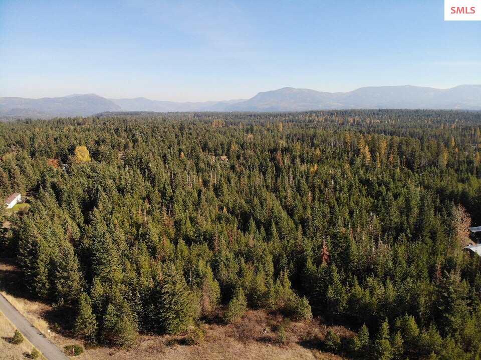 NNA Williams Ln - Photo 1