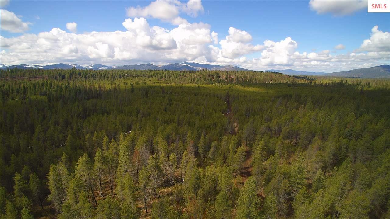 NKA Satchel Rd. ( 80 Acres ) Off Of Clagstone Rd. - Photo 1