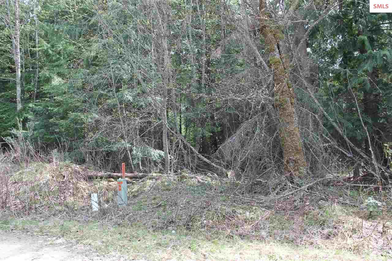 Blk 3 Lot 4 Wander Ln. - Photo 1