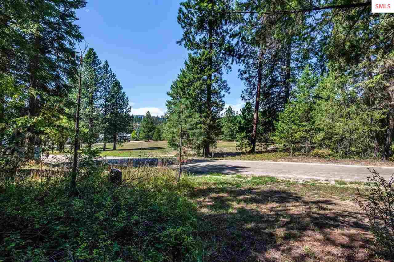 Lot 30 Swan Shores Drive - Photo 1