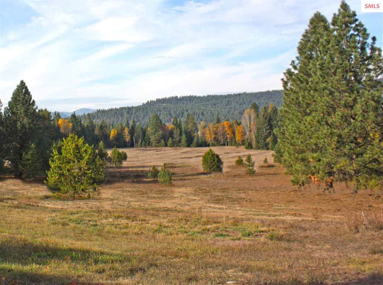 NNA Peak View Dr (20 Ac) - Photo 1