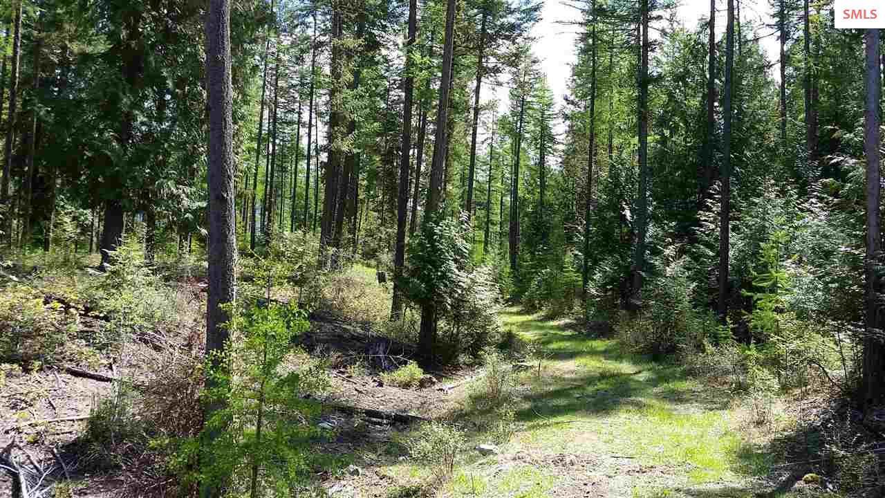 NNA Smugglers Lane Tract 4 - Photo 1