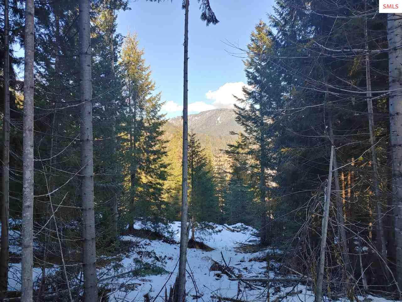 NKA Railroad Grade Tract 2 - Photo 1