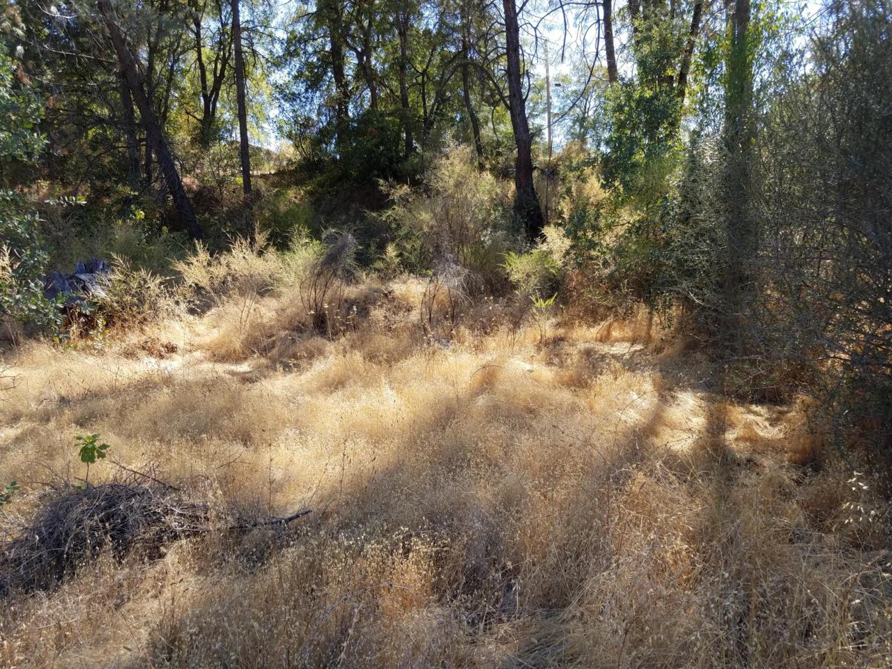 Shasta Dam Blvd. - Photo 1