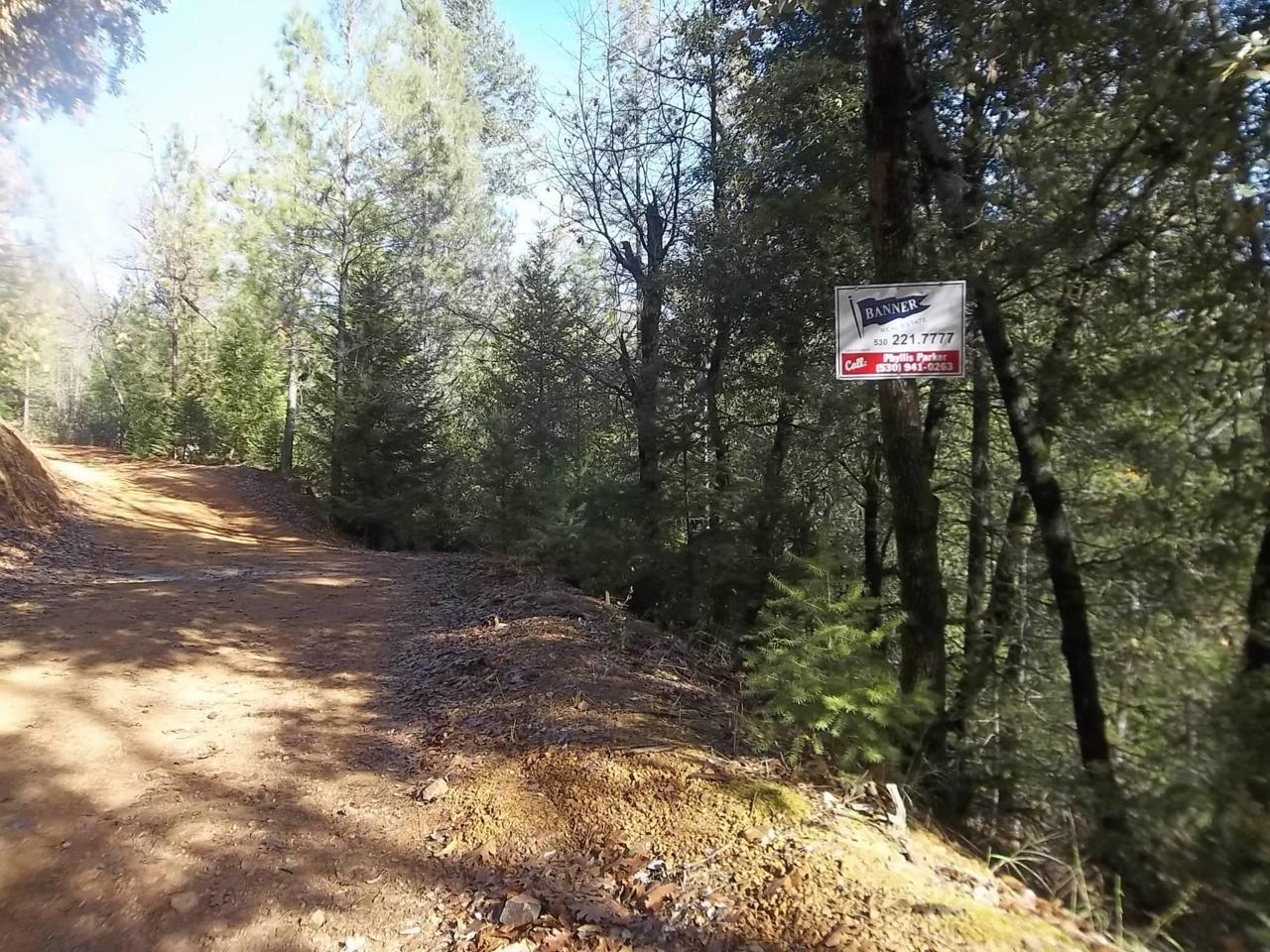 Fenders Ferry Road - Photo 1