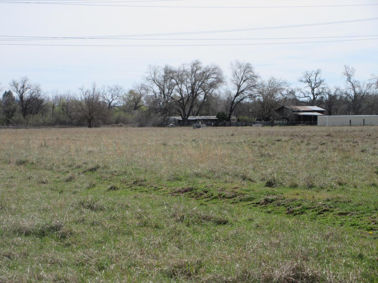 3540 Balls Ferry Rd - Photo 1