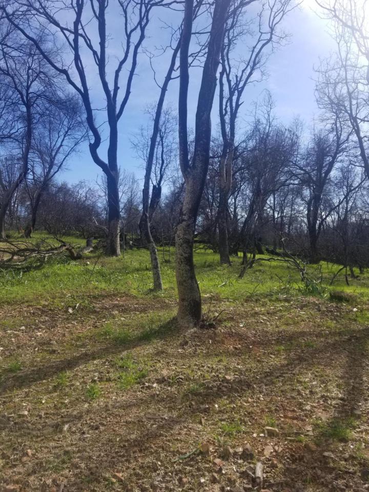 4255 Eureka Way - Photo 1