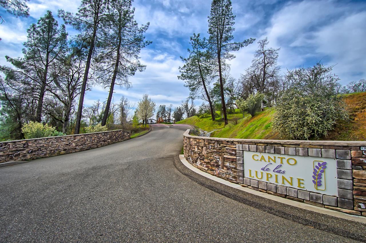 Canto De Las Lupine-Custom Lot - Photo 1