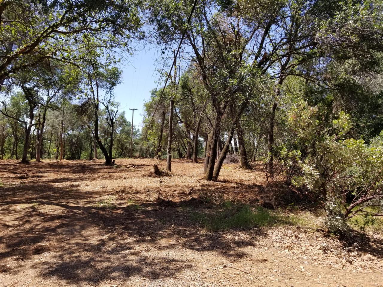 Gordon Ln - Photo 1