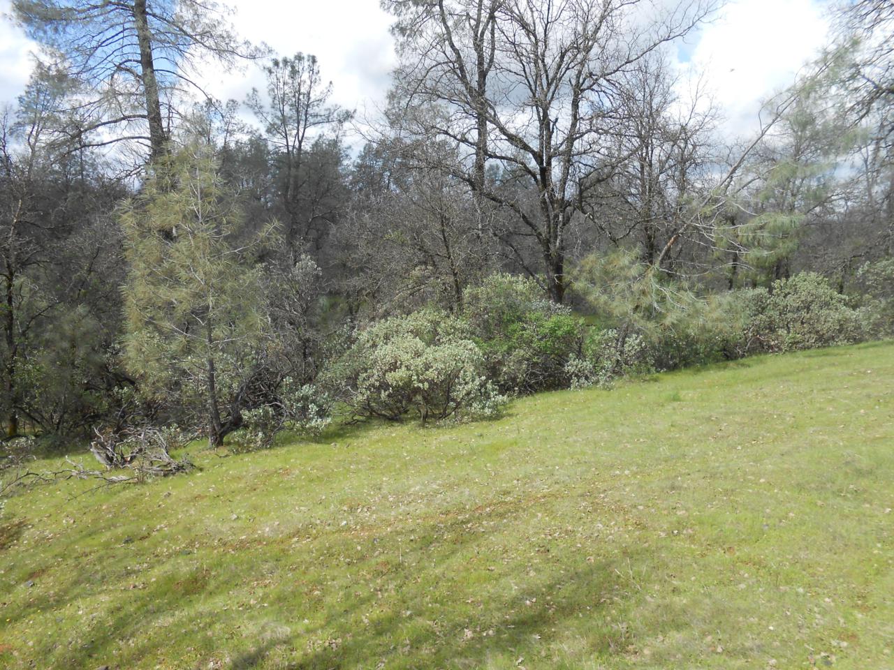 Fenders Ferry Rd - Photo 1