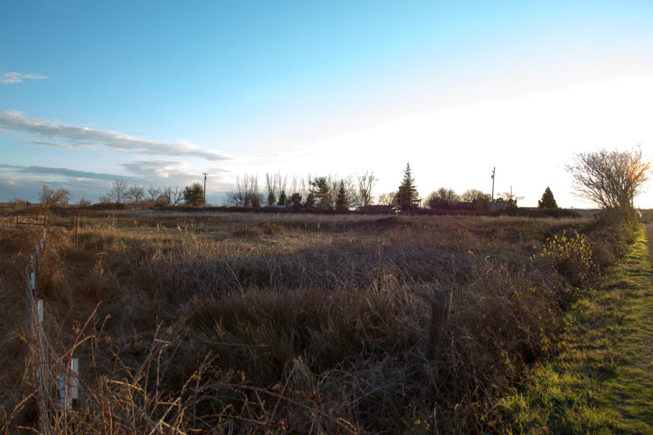 Webb Rd. - Photo 1