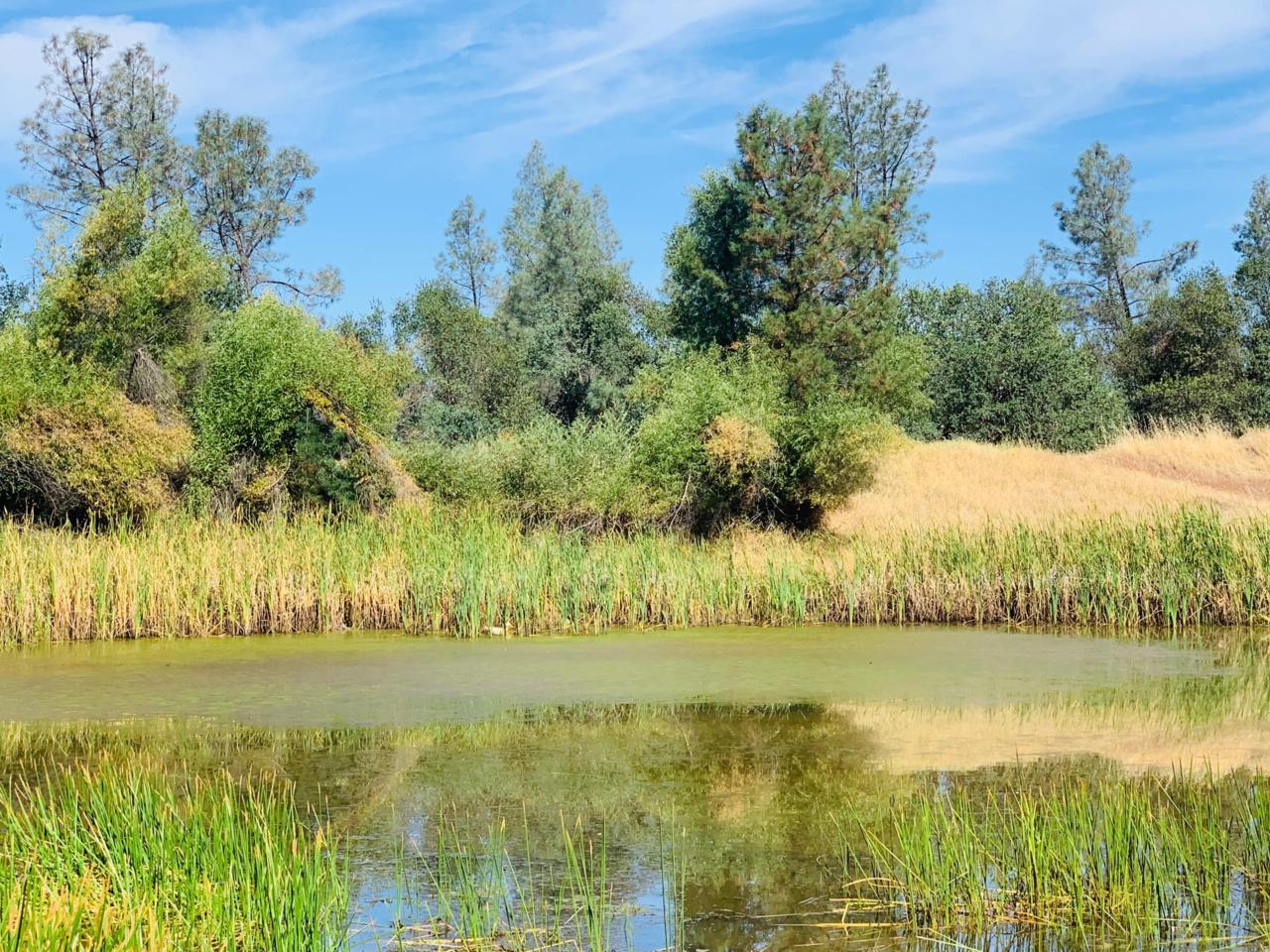 20708 Old Alturas Rd - Photo 1