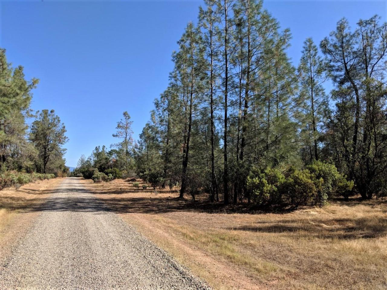 Cloverdale Rd - Photo 1