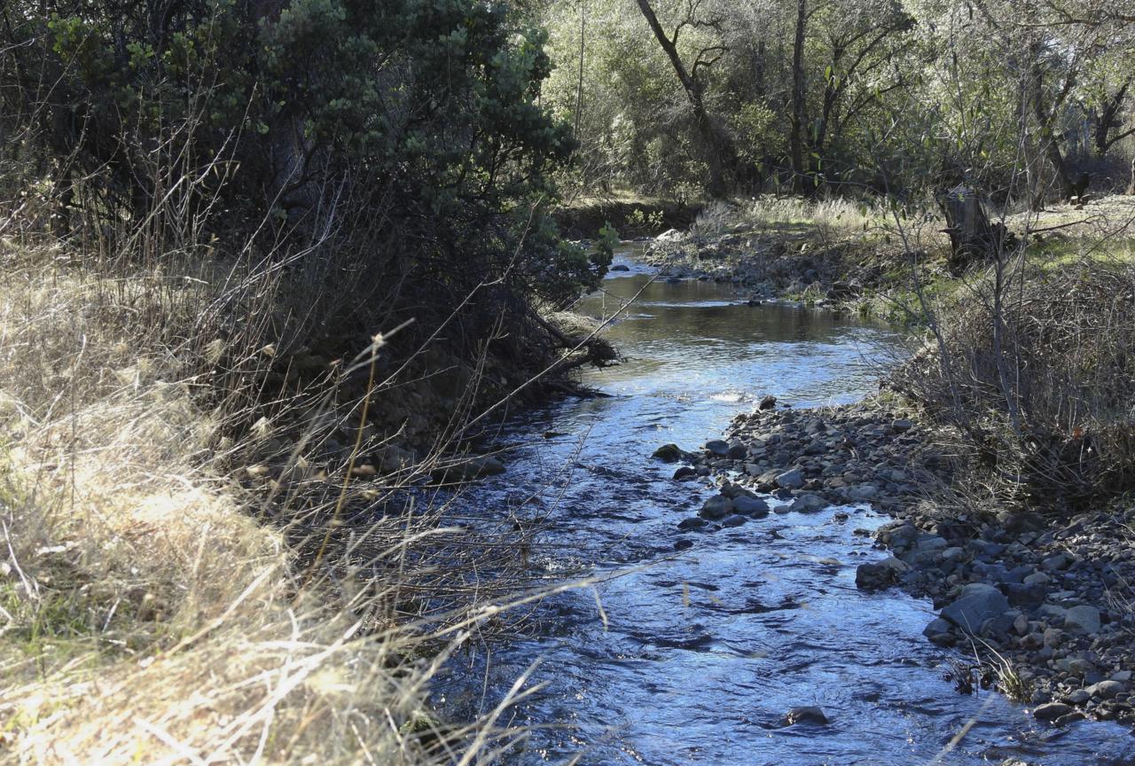 Bear Mountain Rd - Photo 1