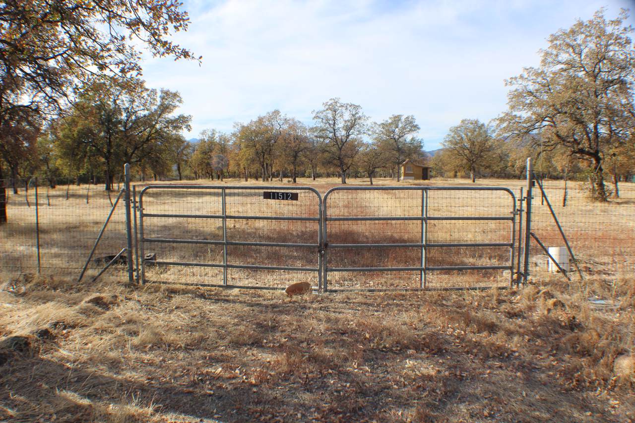 11512 Profanity Ln - Photo 1
