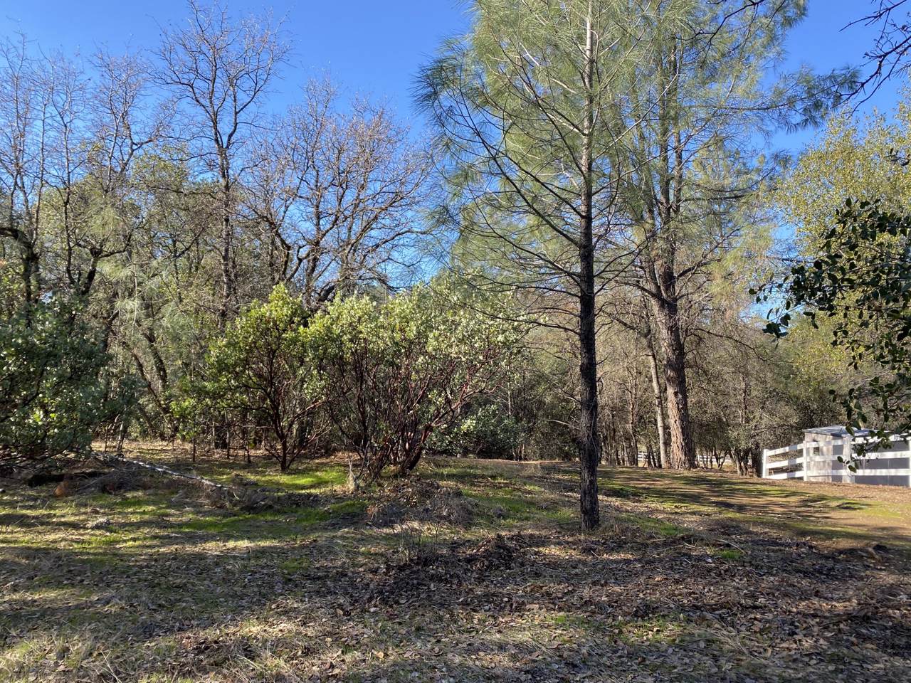 Bear Mountain Rd - Photo 1