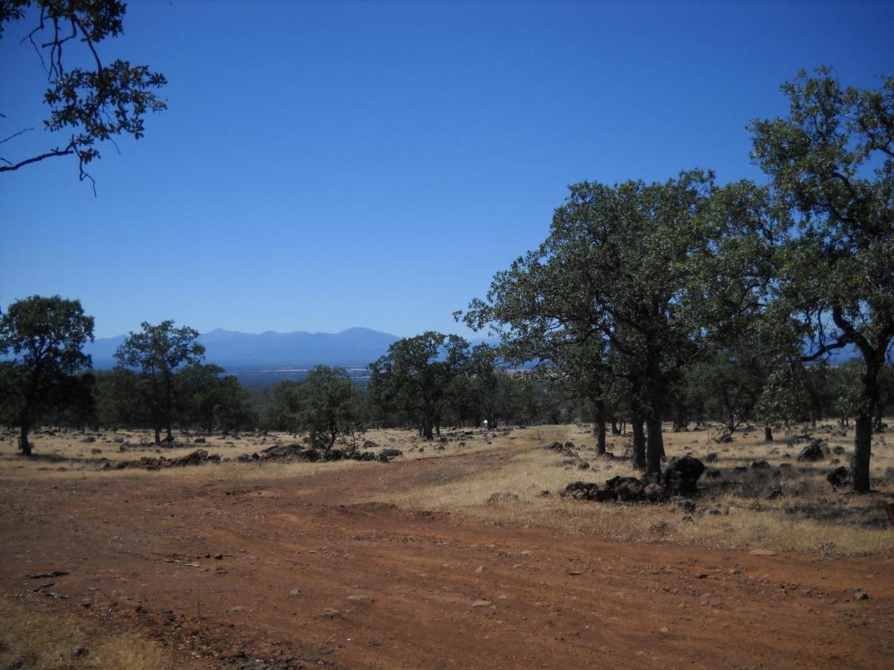 Wildcat Road - Photo 1