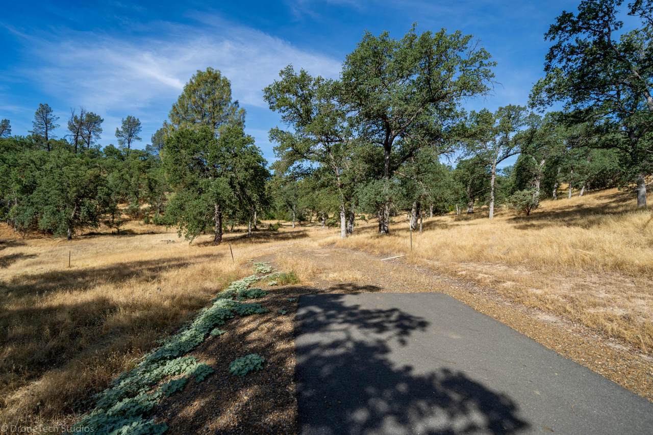 Tudor Oaks Drive #2 - Photo 1