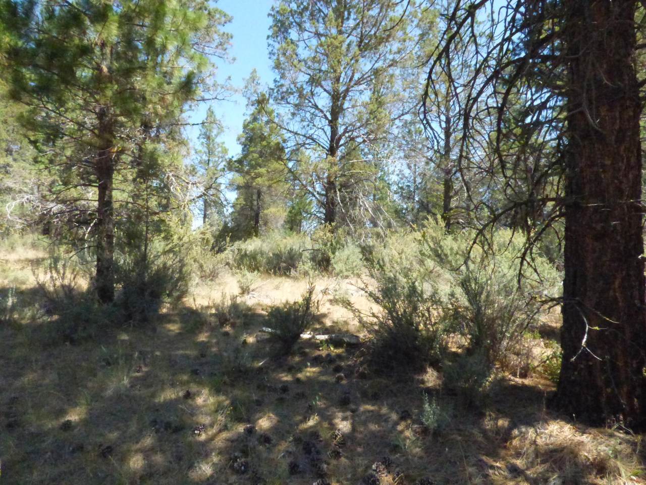 https://bt-photos.global.ssl.fastly.net/shasta/1280_boomver_1_20-3292-2.jpg