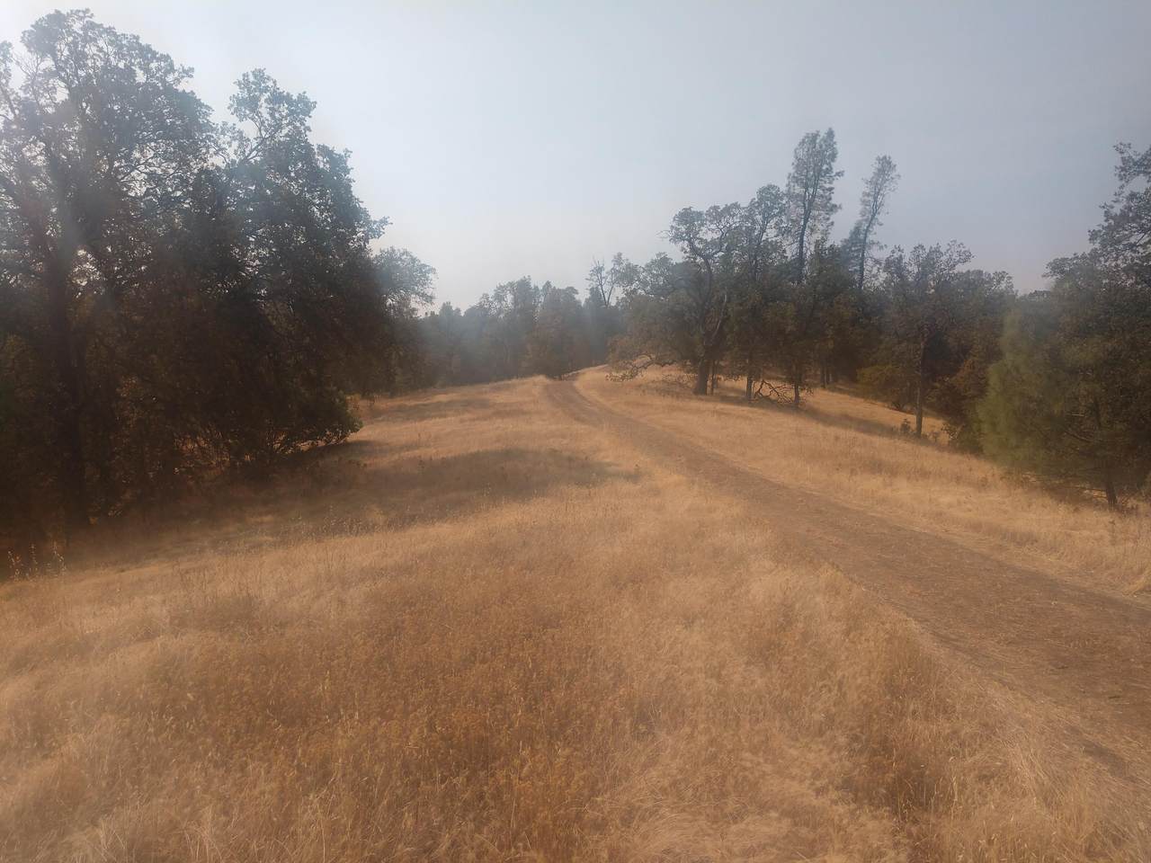Big Pines Rd - Photo 1