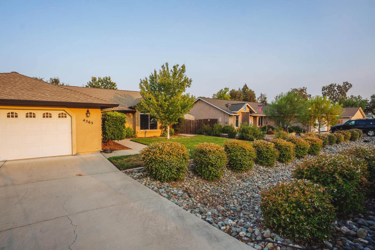 4565 Cerro Ln - Photo 1