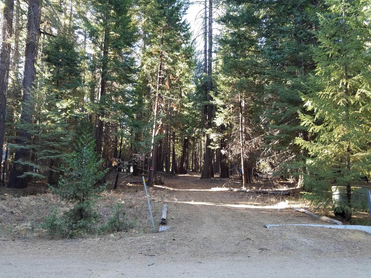 Lot # 9 Redwood Drive - Photo 1