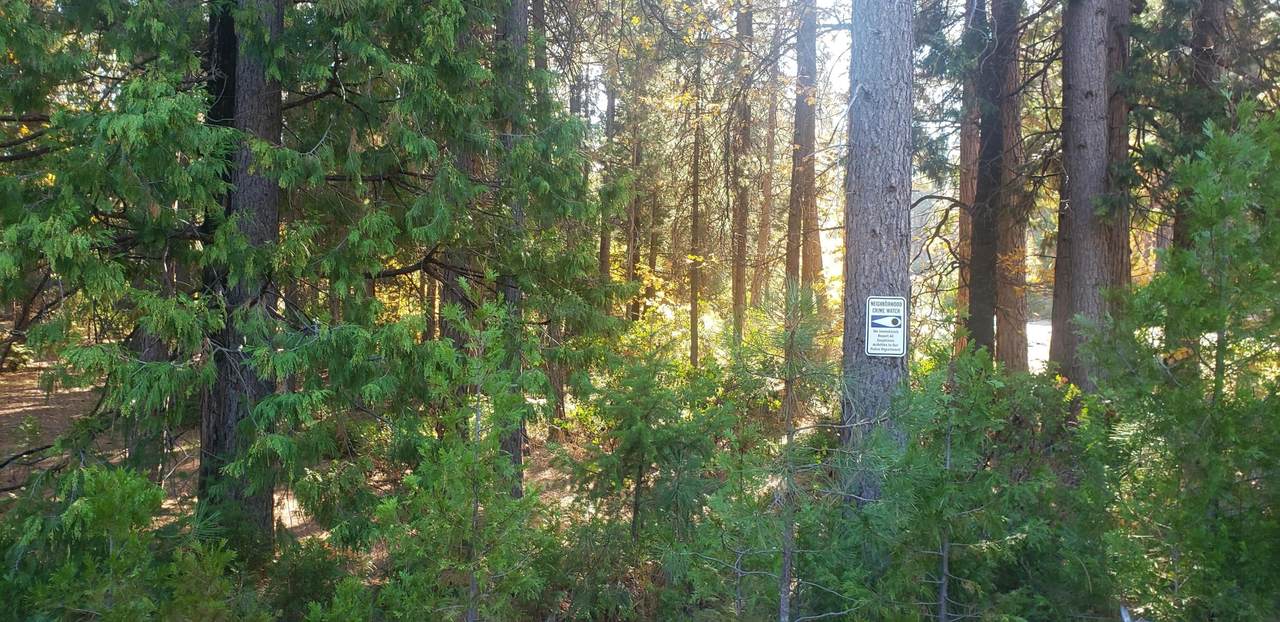 Timber Hill - Photo 1