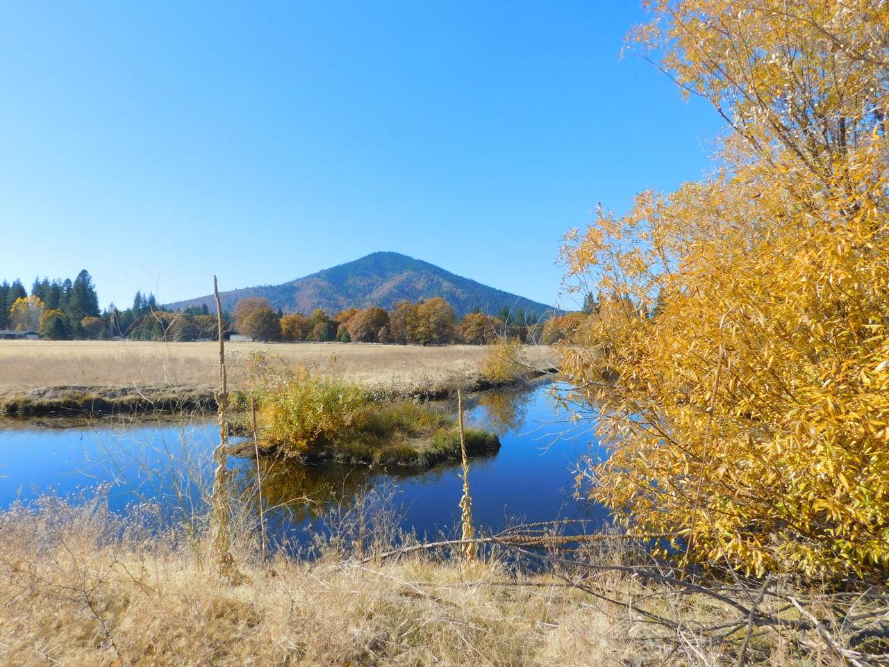 Lot 23 Soldier Mountain Rd. - Photo 1