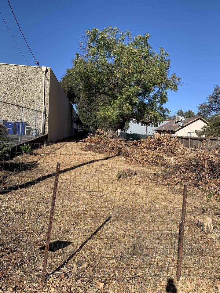 1424 Spruce St - Photo 1
