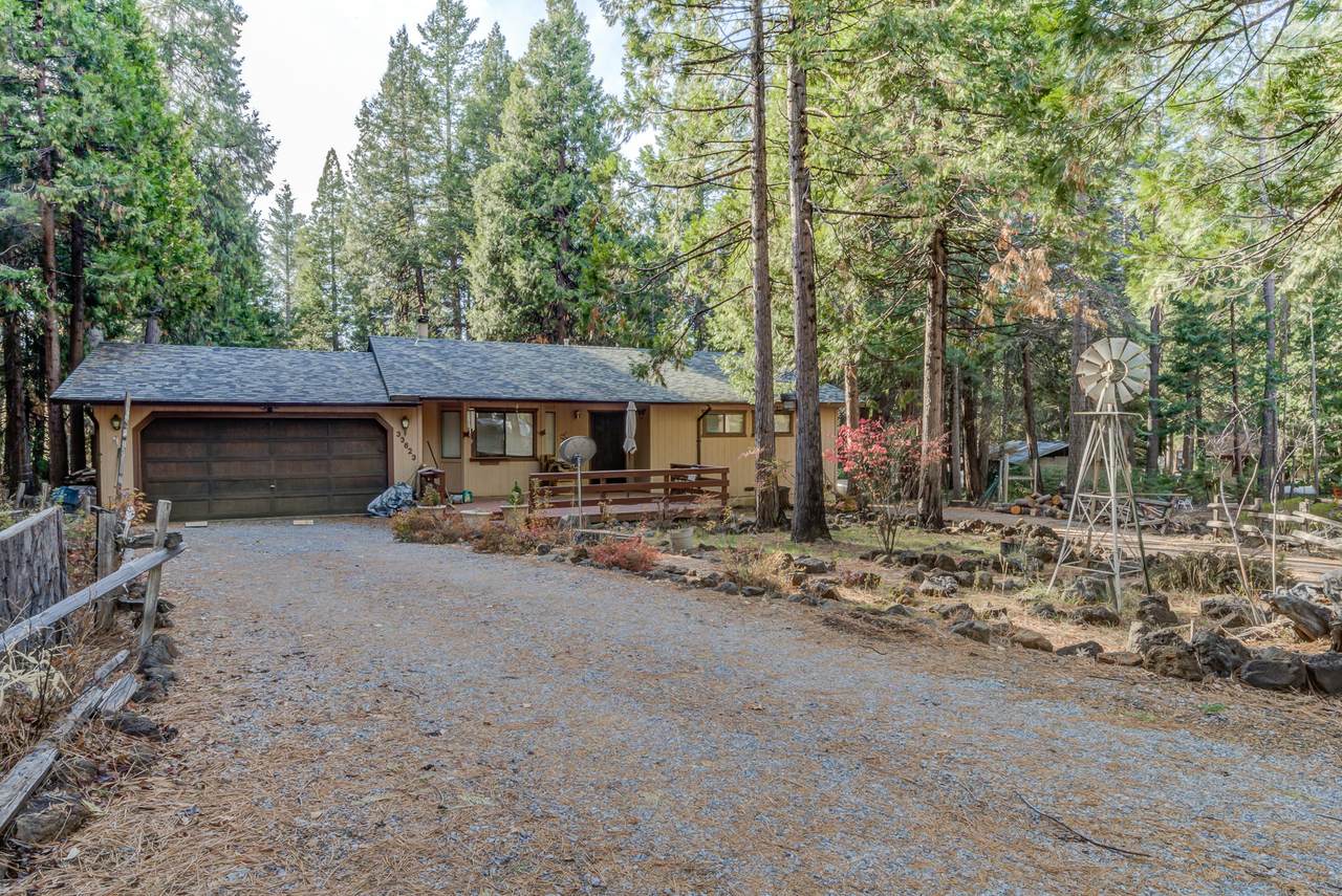 33623 Short Rainbow Ln - Photo 1