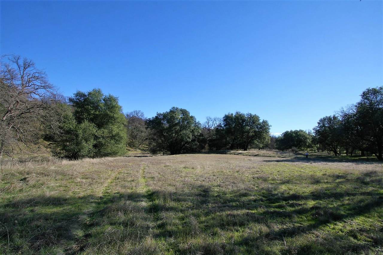 6.3 acres Oak Bottom Road - Photo 1