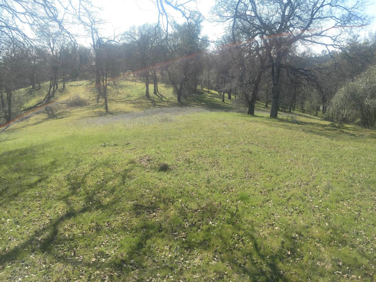 Dry Creek Rd. - Photo 1