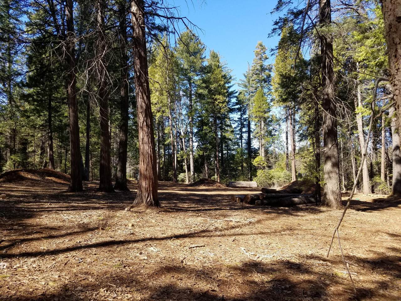 6995 Wilson Hill Rd - Photo 1