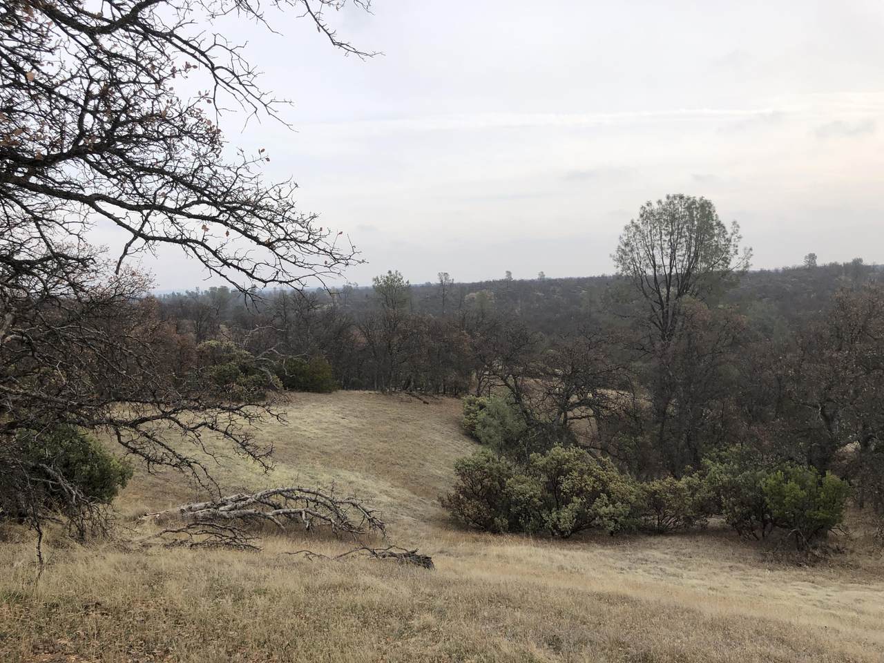 Lot 64 Little Oak Ln - Photo 1