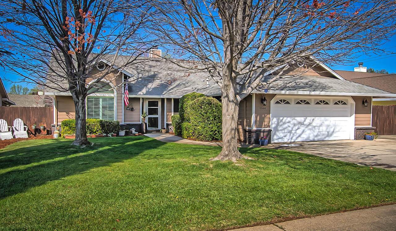 1566 Lavender Way - Photo 1