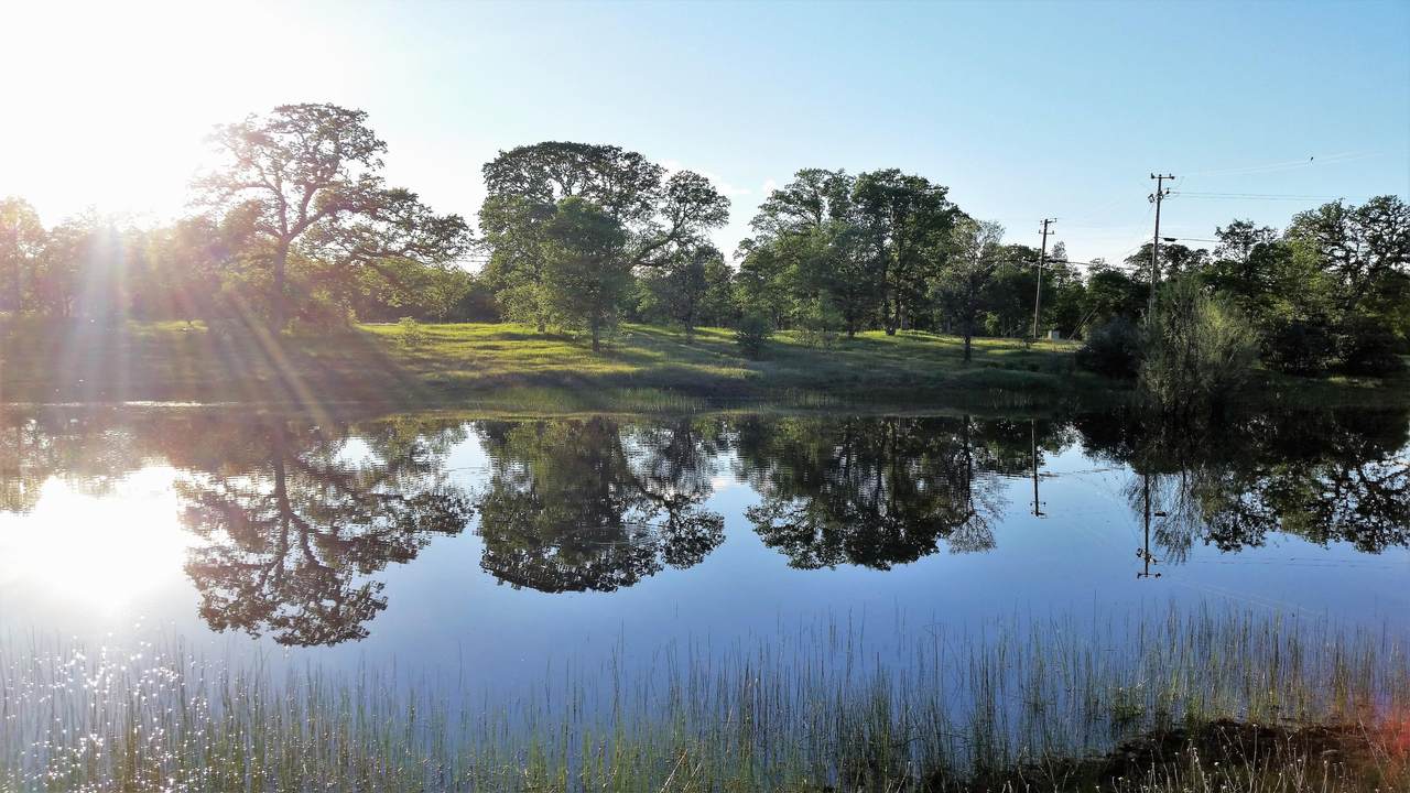 Bywood Dr - Photo 1