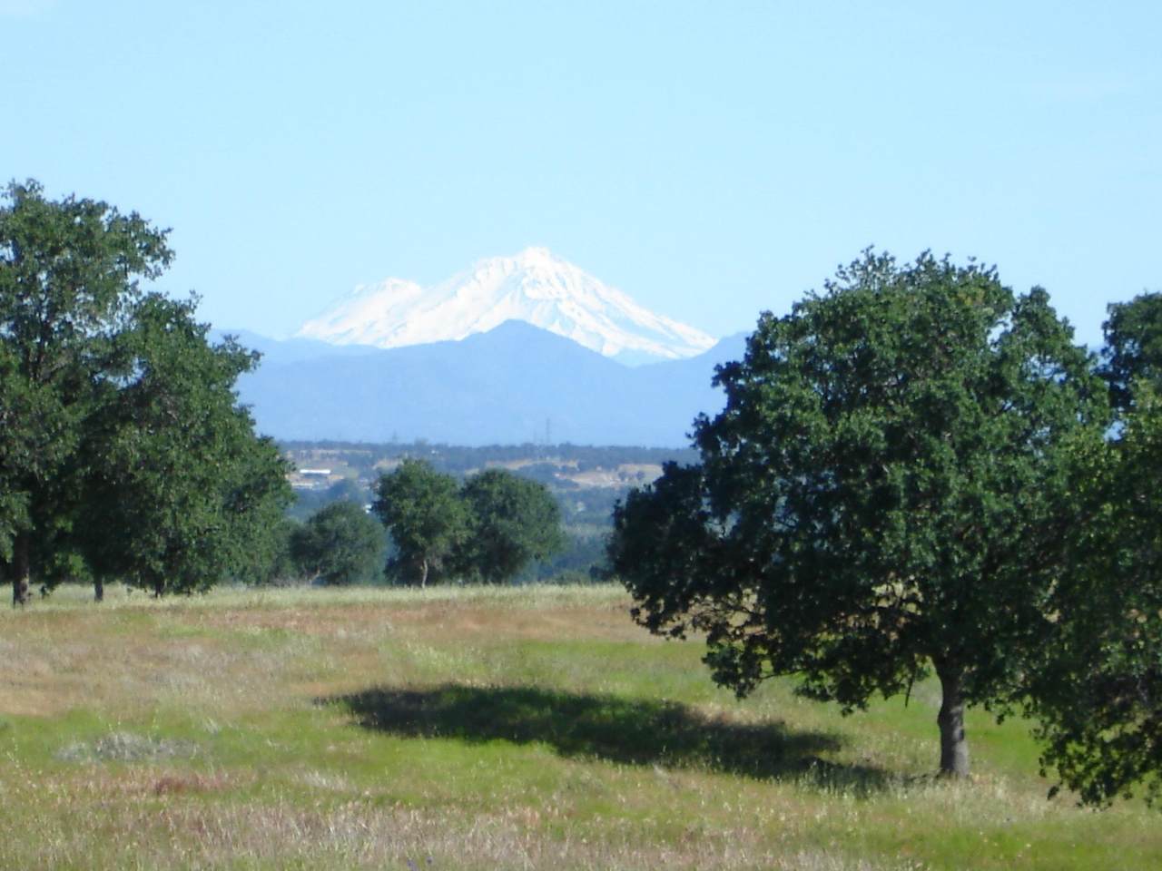Lot 22 Bay Meadows Lane - Photo 1