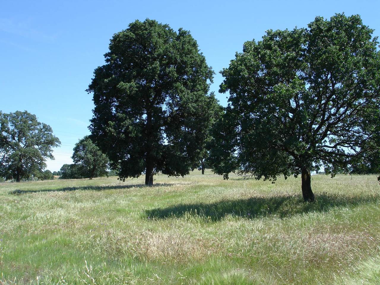 Lot 54 Arlington Park Place - Photo 1