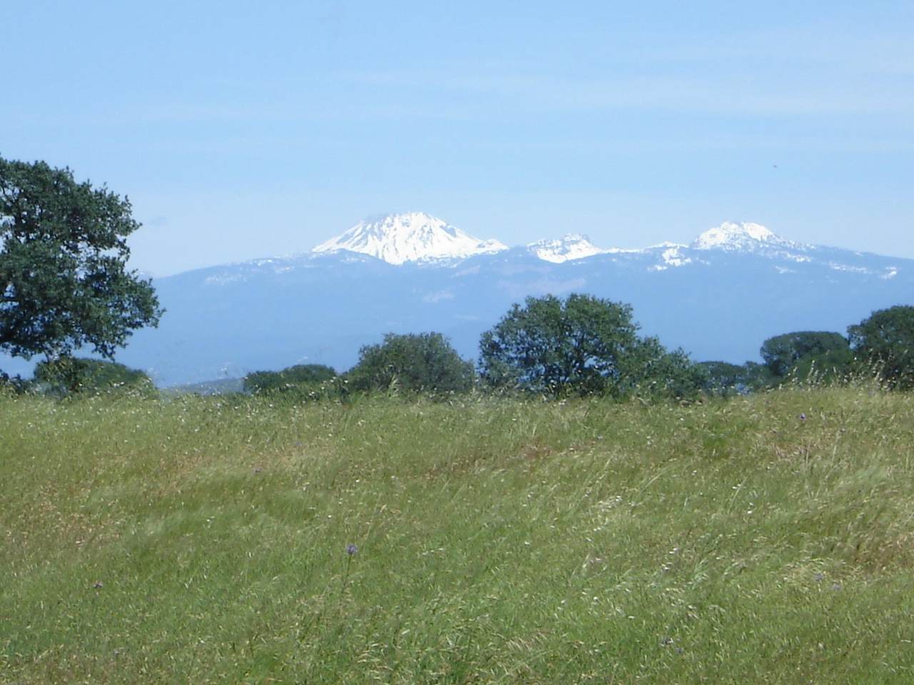 Lot 70 River Downs Way - Photo 1