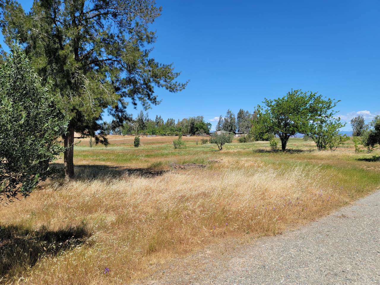 4840 East Ave - Photo 1
