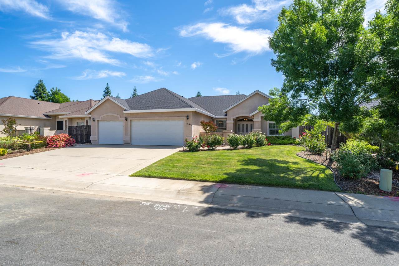 593 Centavo Way - Photo 1