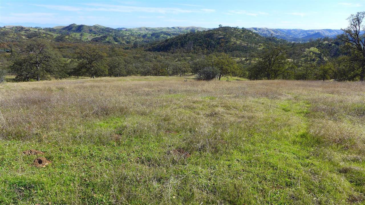 Lot 236 Fiddlers Rd - Photo 1