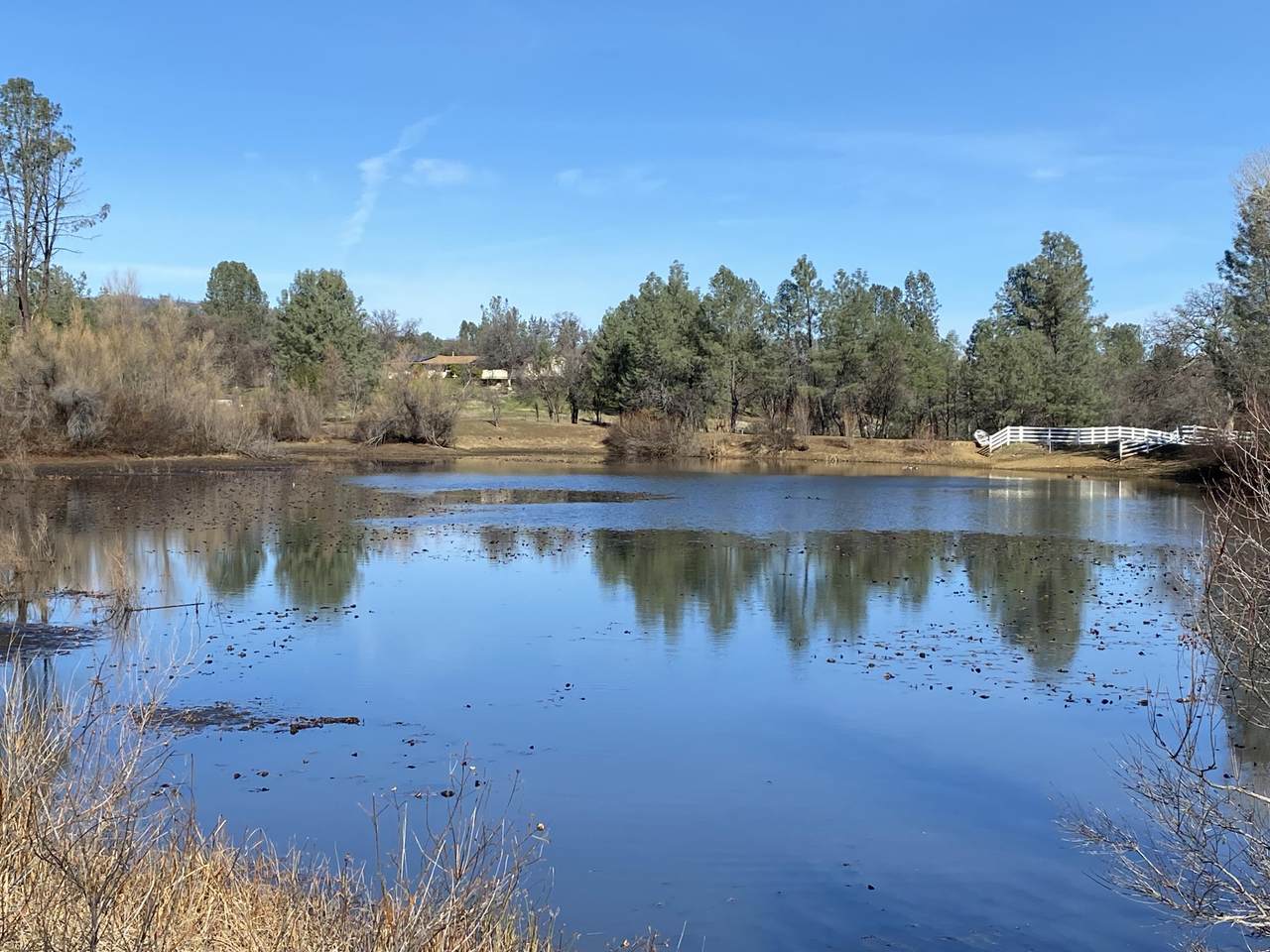 Taylor Ln - Photo 1