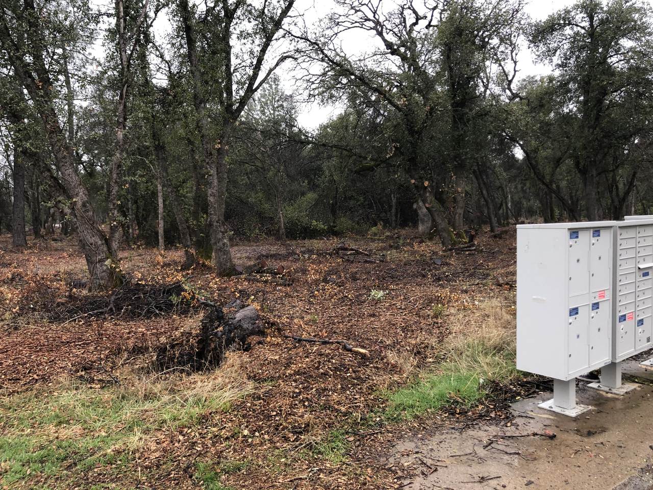 Davis Garden Dr - Photo 1