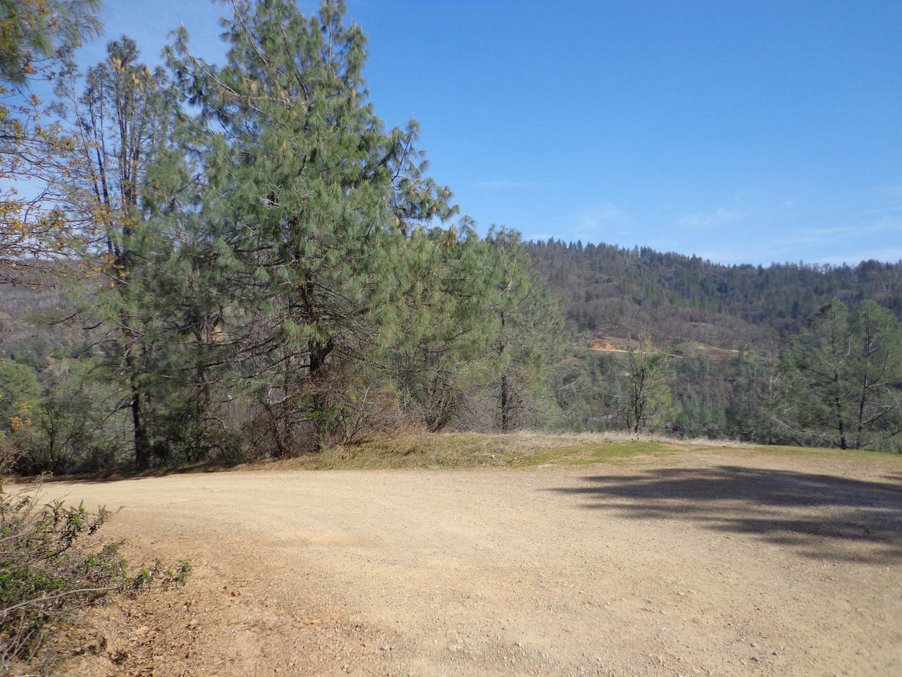 4.21 Acres Fawn Rd - Photo 1